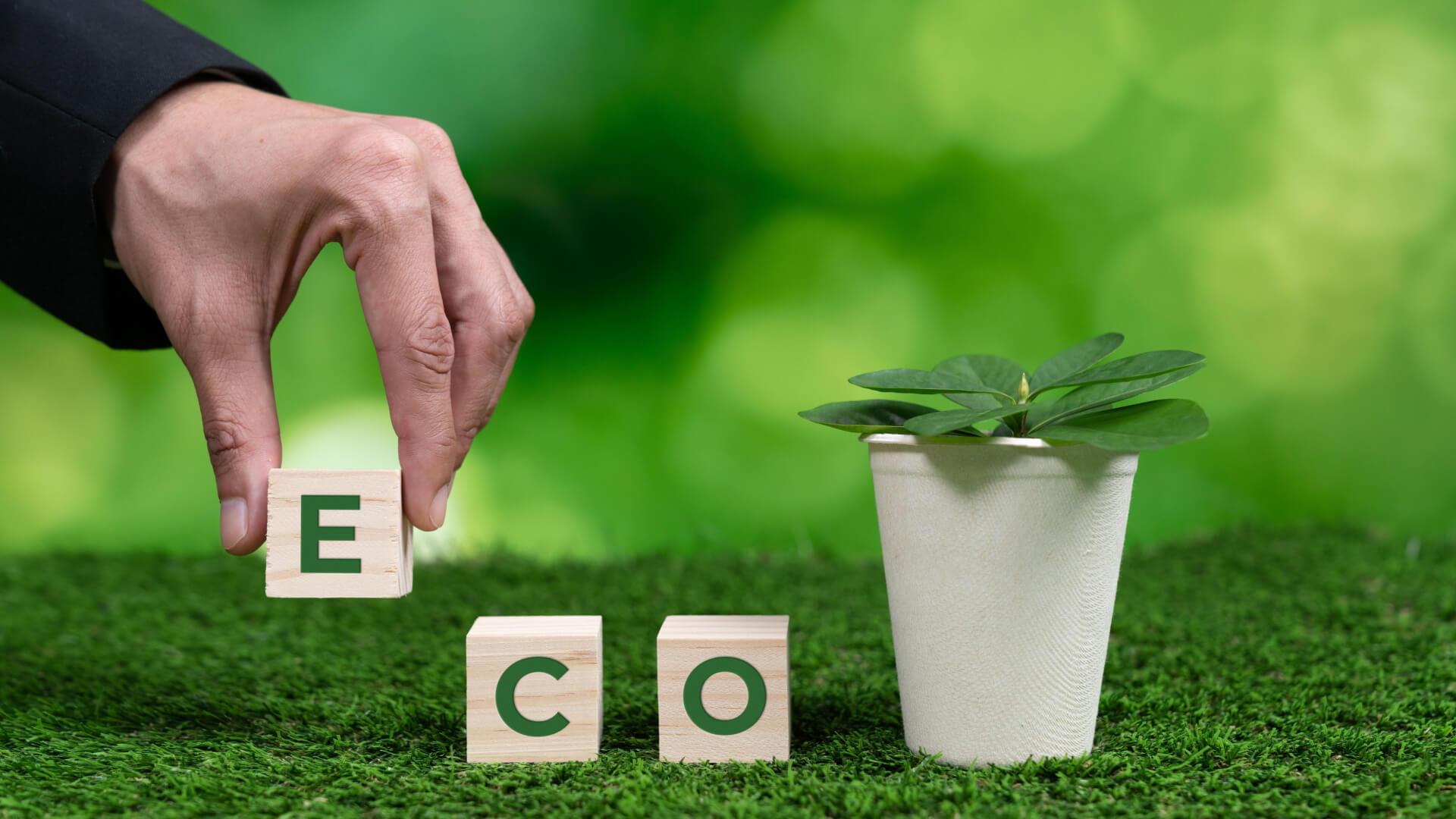 Eco-Friendly Gadgets: Sustainable Tech for a Greener Future